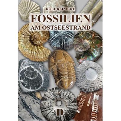 Fossilien am Ostseestrand, Taschenbuch von Rolf Reinicke, Demmler Verlag, 978-3-944102-68-9