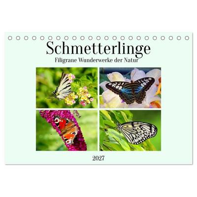Schmetterlinge - Filigrane Wunderwerke der Natur (Tischkalender 2027 DIN A5 quer), CALVENDO Monatskalender