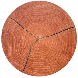ELOBRA LED-Wandleuchte Havana Kunststoff Braun 34 cm