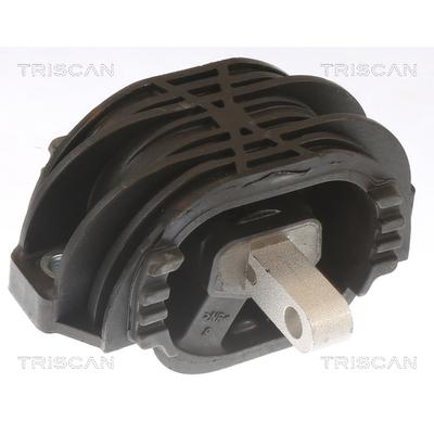 TRISCAN Lagerung, Schaltgetriebe 850511207 für BMW