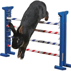 Kerbl Kombisprung (Agility), Agility