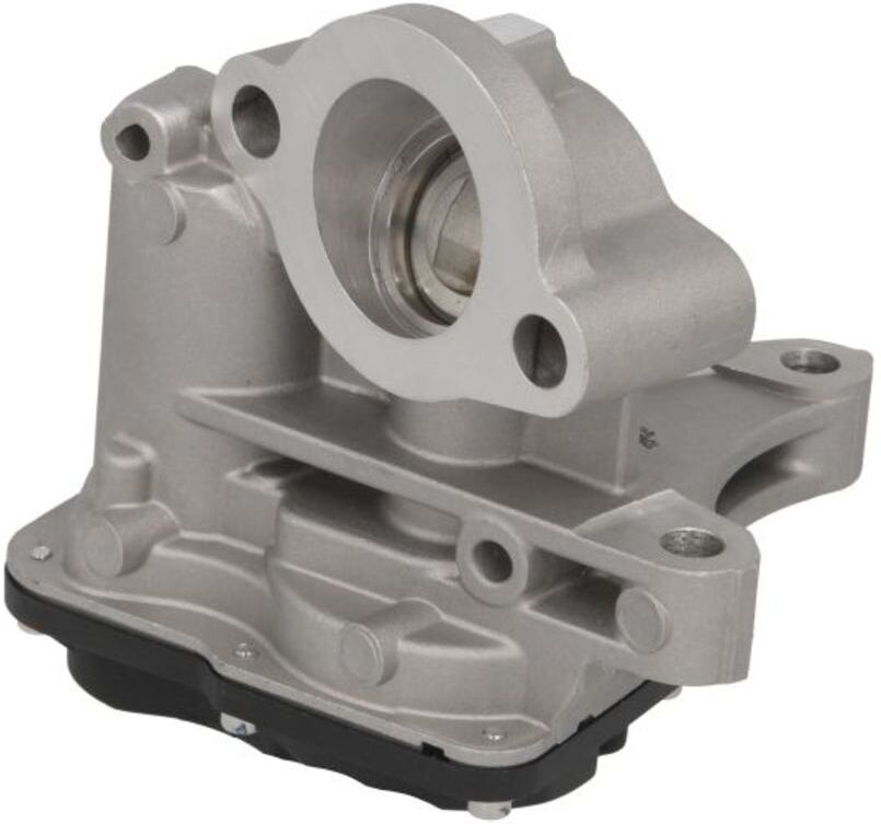 Nrf Valvola EGR 48740