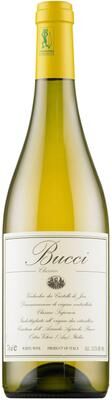 """Bucci Verdicchio dei Castelli di Jesi Classico 2024 White Wine - Italy"""