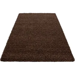Hochflorteppich Life Brown Braun ca. 160x230cm