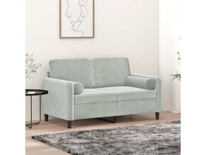 HEFZGDB Modernes 2-Sitzer-Sofa 120 cm Hellgrau Samt mit Zierkissen – Robustes Metallgestell & Abnehmbare Bezüge für Langlebigkeit und Pflegeleichtes Wohnzimmer Möbelstück
