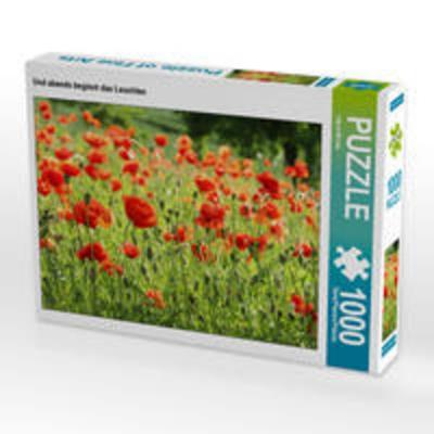 CALVENDO Puzzle Und abends beginnt das Leuchten | 1000 Teile Lege-Größe 64x48cm Foto-Puzzle für glückliche Stunden