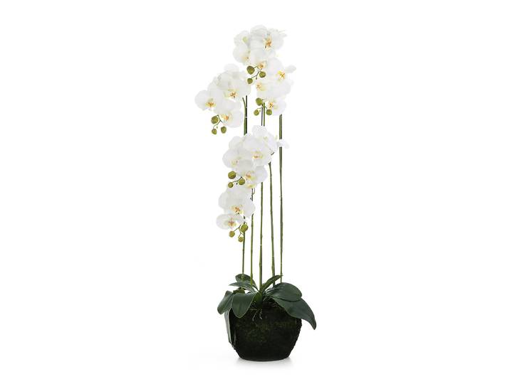 Kunstpflanze Orchidee mit Topf 32 x 110 x 32cm