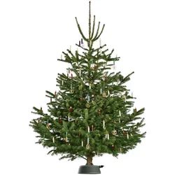 Krinner, Christbaumständer, Bavaria S