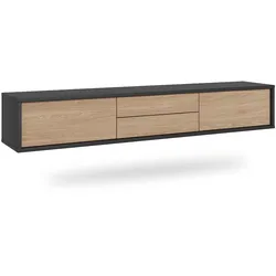 TV-MÖBEL Idra Holz und Grau