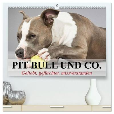 Pit Bull und Co. - Geliebt, gefürchtet, missverstanden (hochwertiger Premium Wandkalender 2027 DIN A2 quer), Kunstdruck in Hochglanz