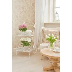 möbel direkt online Blumenständer ROSI cremeweiß