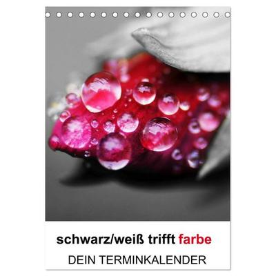 schwarz/weiß trifft farbe - DEIN TERMINKALENDER / Planer (Tischkalender 2026 DIN A5 hoch), CALVENDO Monatskalender