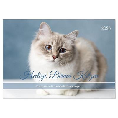 Heilige Birma Katzen - Eine Rasse mit traumhaft blauen Augen. (Tischkalender 2026 DIN A5 quer), CALVENDO Monatskalender