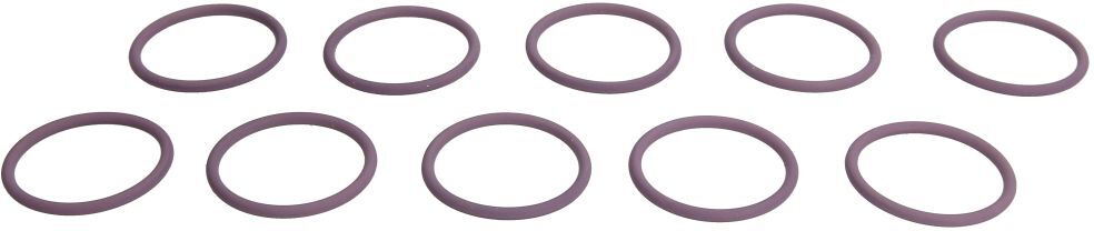Dichtring, Einspritzventil DELPHI 7200-0053-12B1
