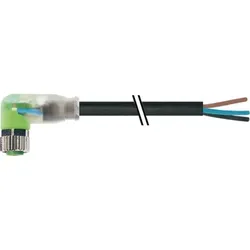Murrelektronik Konf.-Leitung 7000-08121-6300500
