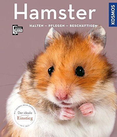 Angela Beck - Hamster: halten, pflegen, beschäftigen (Mein Tier) - Preis vom 07.10.2026 11:45:10 h