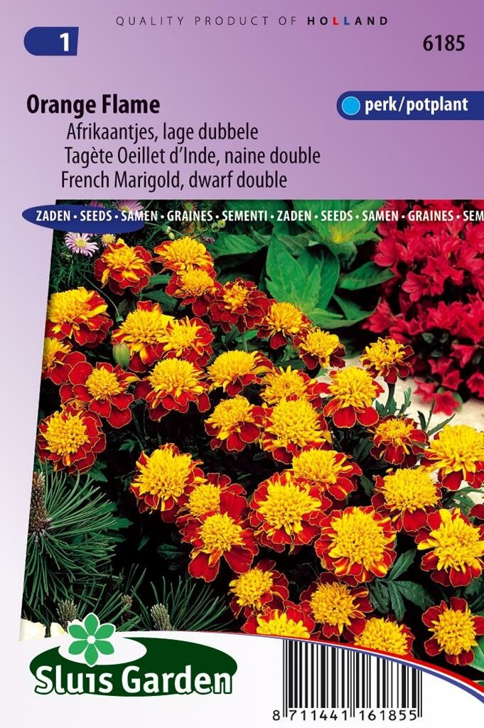 Sluis Garden Tagetes Patula zaden Orange Flame afrikaan