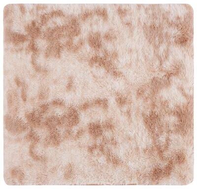 SAFAVIEH Rainbow Shag George Shag Rug
