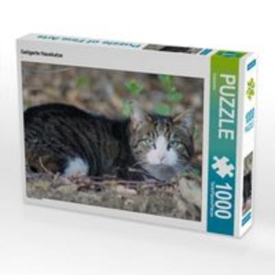 CALVENDO Puzzle Getigerte Hauskatze, Lege-Größe 64 x 48 cm Foto-Puzzle Bild von Kattobello