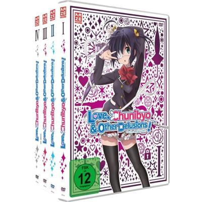 Love, Chunibyo & Other Delusions! - 1.Staffel - Gesamtausgabe - DVD Box [4 DVDs], DVD