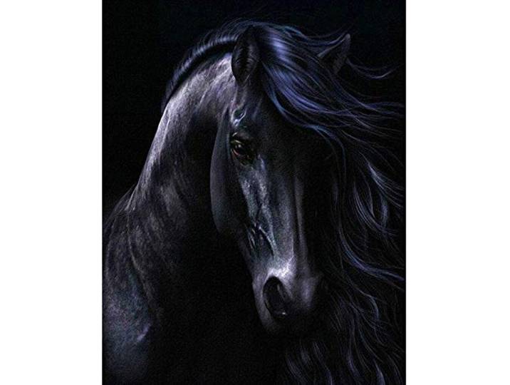Yingxin34 Puzzle 4000 Teile Schwarzes Pferd Jigsaw Spiel Erwachsene Kinder Familie Dekompression Spielzeug-55.70x34.44 Zoll (141.5 x 87.5cm)