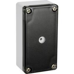 GIRA Helligkeits-/Temperatursensor 546700 1 St.