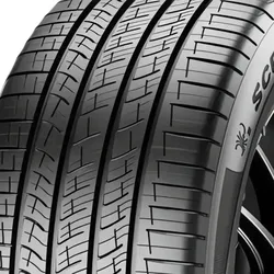 Scorpion MS 255/45 R21 106V XL Sommerreifen