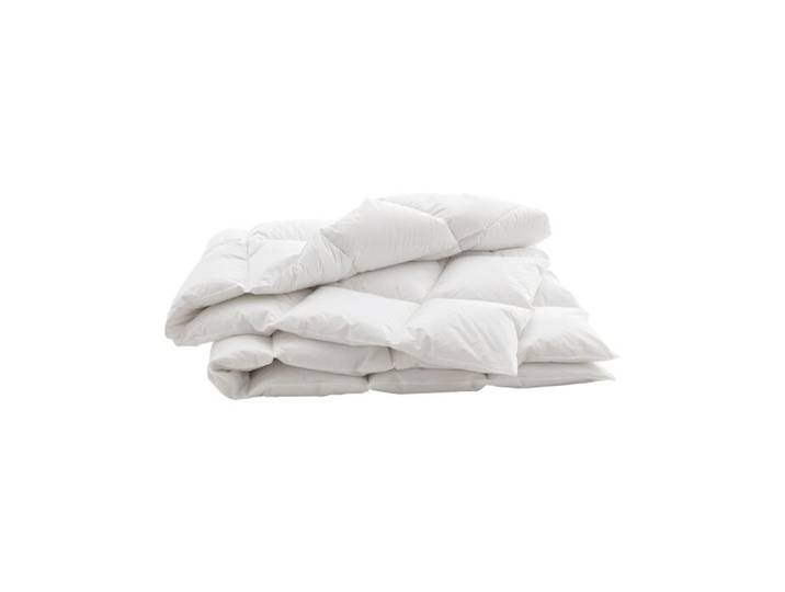 Billerbeck Daunen Kassettenduvet Swiss Dream Cosy – 160x240 cm
