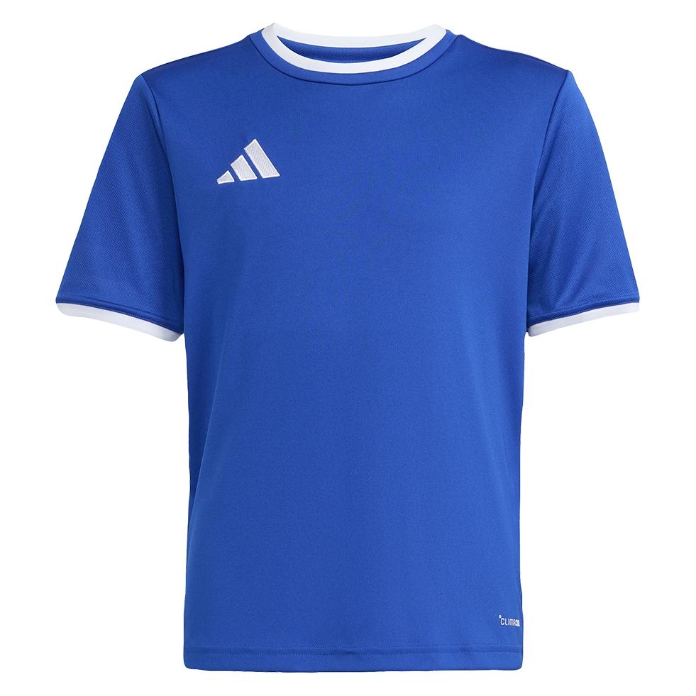 Adidas Junior Entrada T-Shirt (164) (JZ2531)