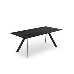 Esstisch ATELIER ( L160xB90xH76cm) - L160xB90xH76cm