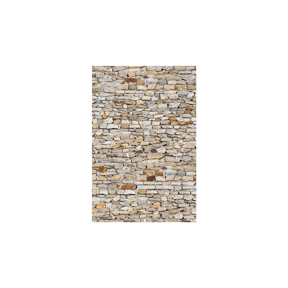 TETZNERJENT VETRO Glasscheibe MAUER B 1200 x H 1800 mm Motivdruck 16971325