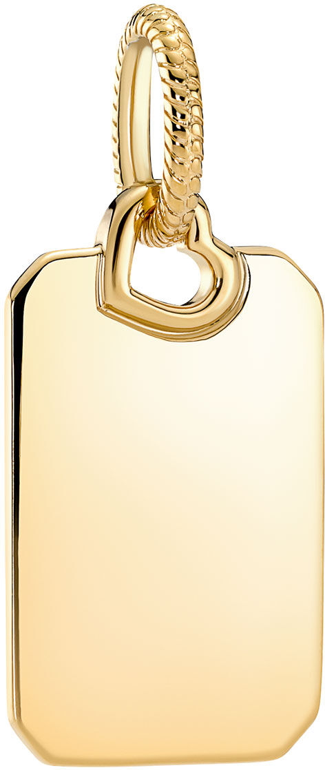 Pandora Engravable Rectangle Tag berlock 368611C00