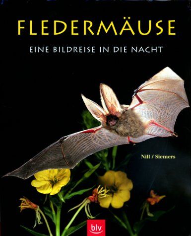 Dietmar Nill - Fledermäuse. Eine Bildreise in die Nacht - Preis vom 14.10.2026 23:07:16 h