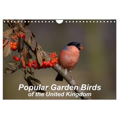 Popular garden birds of the united kingdom (Wall Calendar 2027 DIN A4 landscape), CALVENDO 12 Month Wall Calendar