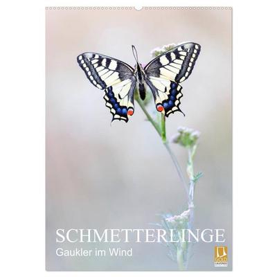 Schmetterlinge - Gaukler im Wind (Wandkalender 2026 DIN A2 hoch), CALVENDO Monatskalender