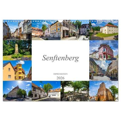 Senftenberg Impressionen (Wandkalender 2026 DIN A3 quer), CALVENDO Monatskalender