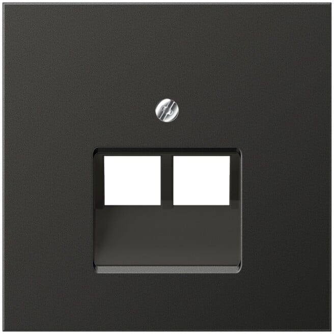 Jung Cache anthracite pour prise IAE/UAE AL 2969-2 UA AN (AL2969-2UAAN)