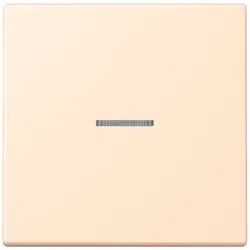 Jung Wippe mit Lichtleiter LC 101 KO5 238