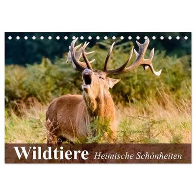 Wildtiere. Heimische Schönheiten (Tischkalender 2026 DIN A5 quer), CALVENDO Monatskalender