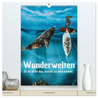 Wunderwelten - Es ist nicht das, was es zu sein scheint. (hochwertiger Premium Wandkalender 2026 DIN A2 hoch), Kunstdruck in Hochglanz