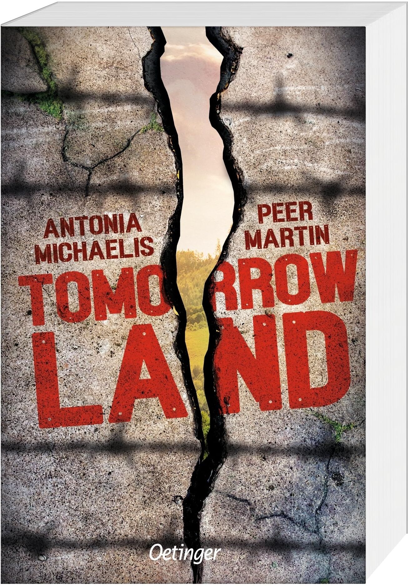 Peer Martin - Tomorrow Land: Dystopisches Jugendbuch über Rechtsruck, Widerstand und die Klimakatastrophe - Preis vom 10.10.2026 11:48:34 h