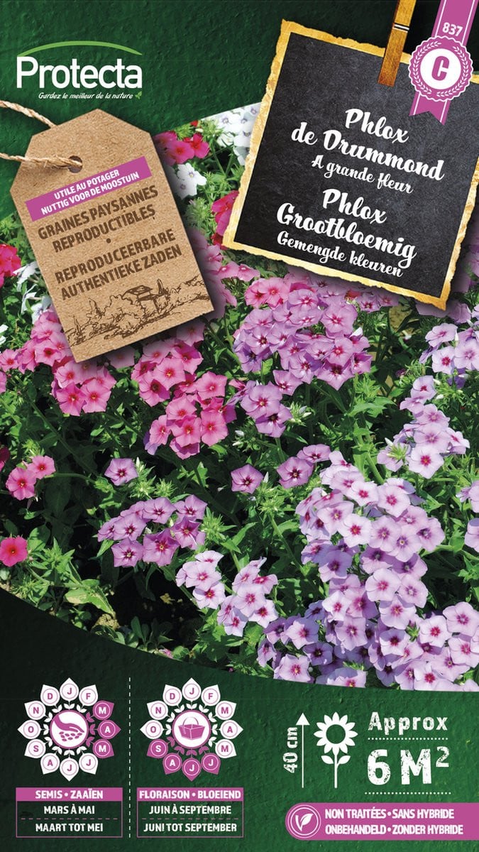 Protecta Phlox Grootbloemig bloemenzaden