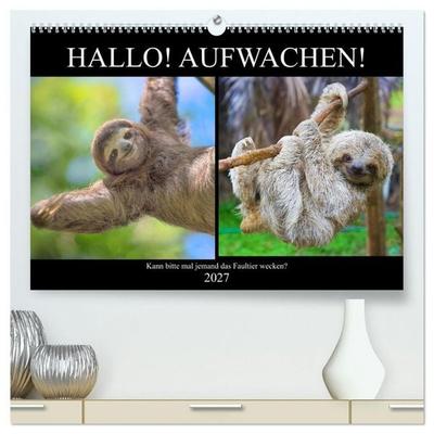 Hallo! Aufwachen! Kann bitte mal jemand das Faultier wecken? (hochwertiger Premium Wandkalender 2027 DIN A2 quer), Kunstdruck in Hochglanz