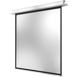 Celexon Beamer-Leinwand Motor Professional Plus, 111 Zoll, 200 x 200 cm, 1:1, Deckeneinbauleinwand