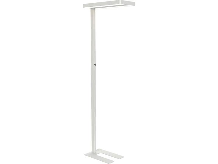 MAUL Standleuchte MAULjaval LED 4.000 K dimmbar Standfuß 196 cm weiß