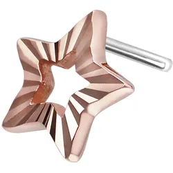 14 Karat Gold Aufsatz mit Titan Push Pin STERN