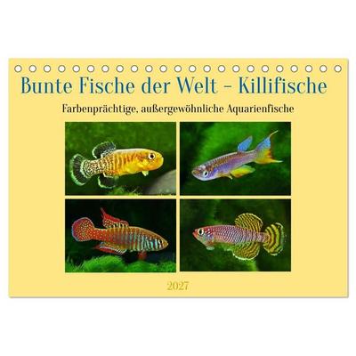 Bunte Fische der Welt - Killifische (Tischkalender 2027 DIN A5 quer), CALVENDO Monatskalender