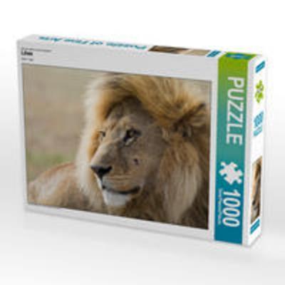 CALVENDO Puzzle Löwe | 1000 Teile Lege-Größe 64x48cm Foto-Puzzle für glückliche Stunden