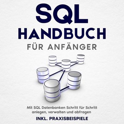 SQL Handbuch für Anfänger: Mit SQL Datenbanken Schritt für Schritt anlegen, verwalten und abfragen – inkl. Praxisbeispiele - Tobias Stroek, Audio,