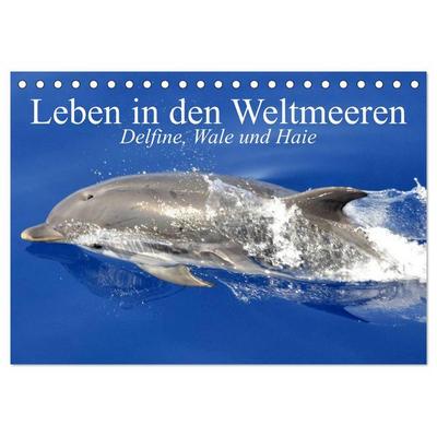 Leben in den Weltmeeren. Delfine, Wale und Haie (Tischkalender 2026 DIN A5 quer), CALVENDO Monatskalender